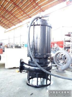 耐磨防堵潜水矿渣泵 选煤设备中的高效解决方案