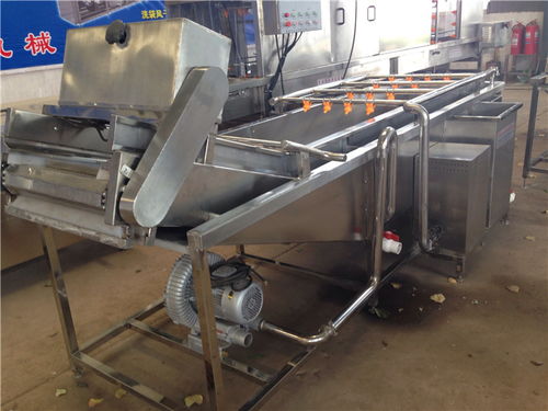 软包装气泡蔬菜清洗机 亿马食品机械的革新选煤设备解析