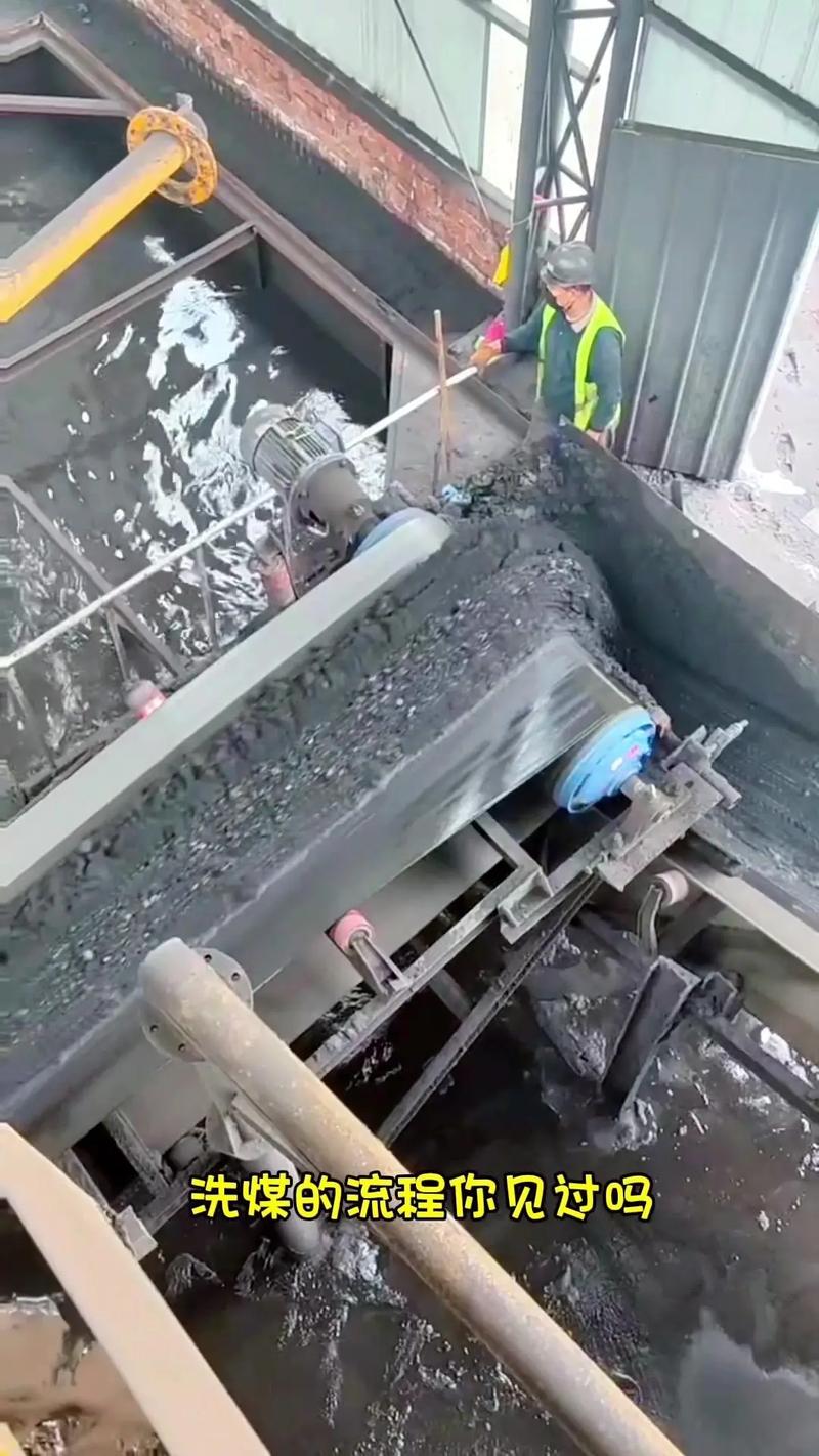 初选环节 皮带机在选煤设备中的关键作用